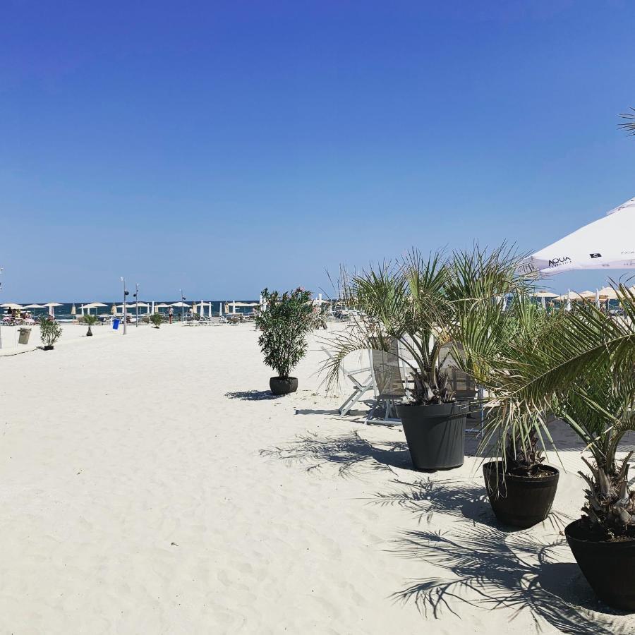 Vela Luxury Sea View Apartments - Marina Surf Navodari Ngoại thất bức ảnh